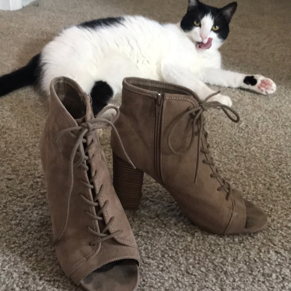 Lace up suede booties size 8 (cat not included😁)
